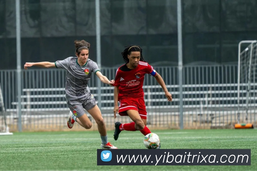 多媒体互动体验