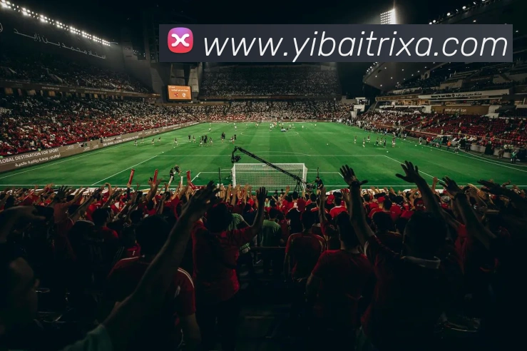 亿百体育APP 体育赛事宣传图